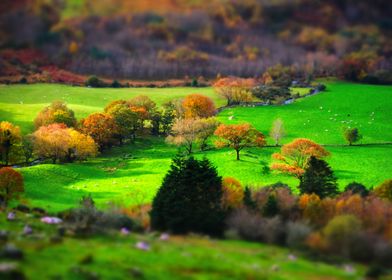 Autumn toy scape