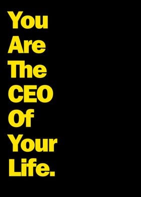 You Are The CEO