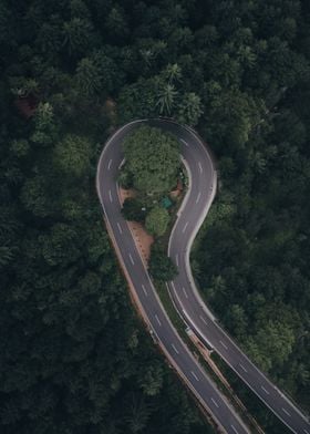 Curvy street in the forest