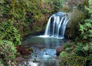 Oregon Fairytale