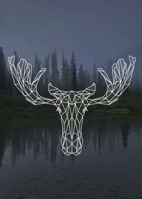 Moose