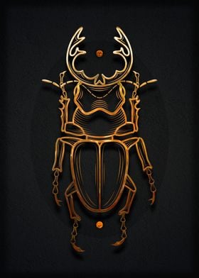 Insect Beetle