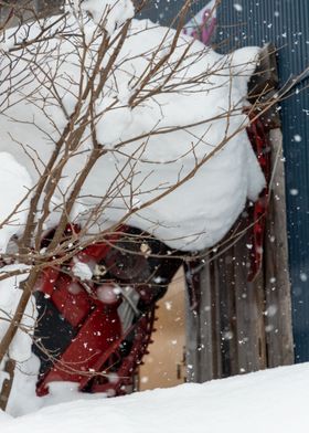 Snow snowmobile Japan