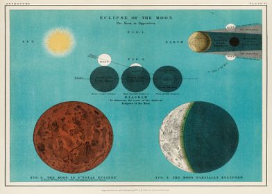 Vintage Celestial Chart