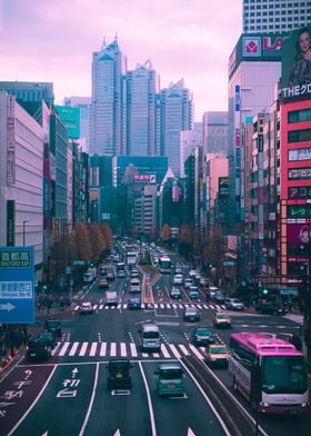 Tokyo Shinjuku Dreamworld