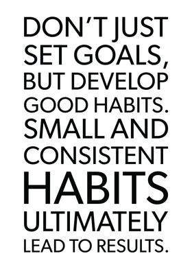 Goals and Good Habits