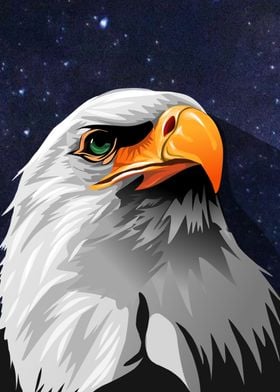 eagle and space