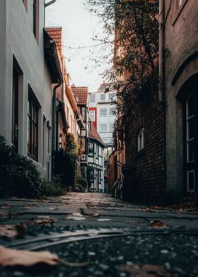 Street in sunset