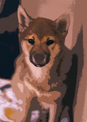 Shiba Inu Version cartoon