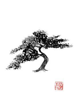 bonsai