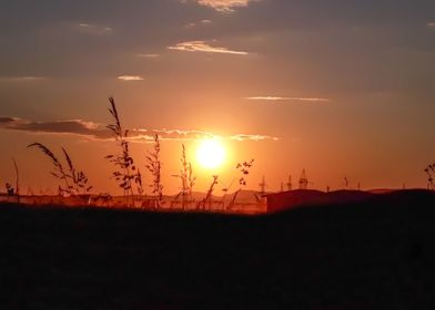 Summer field sunset