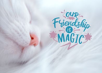 magic friendship cat