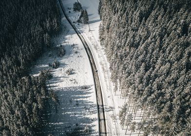 Street in snowy forest