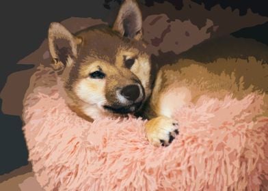 Shiba Inu cartoon version