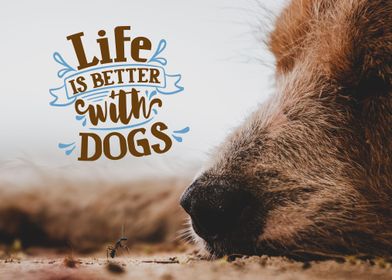 Dog Lettering Life