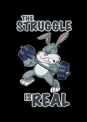 Rabbit Fitness Struggle