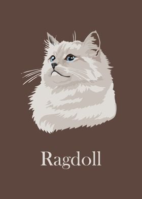 Ragdoll