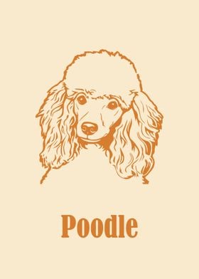 Poodle