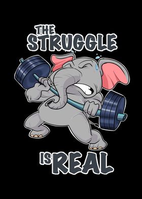 Elephant Fitness Struggle