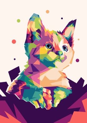 Cat Colorful