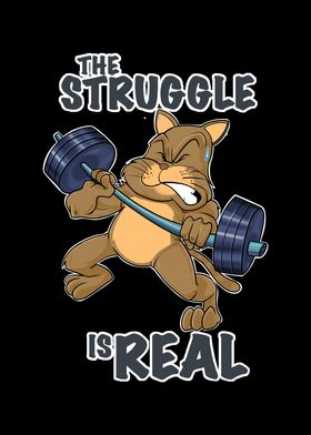 Cat Fitness Struggle