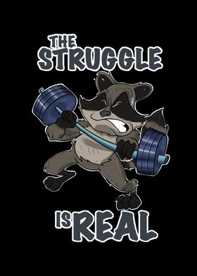 Raccoon Fitness Struggle