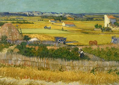 Harvest At La Crau