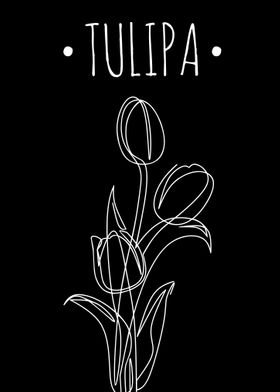 Tulipa Flower