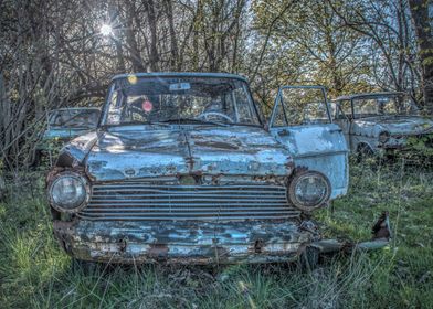 Abandoned grass vehicle