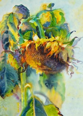 Sunflower watercolor art