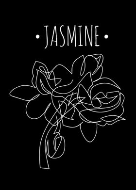 Jasmine Flower