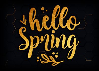 Hello spring