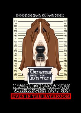 Basset Hound Stalker