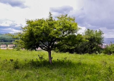 Spring green tree