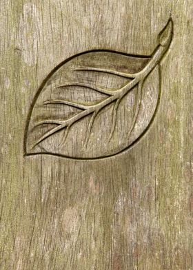 Engraved leaf