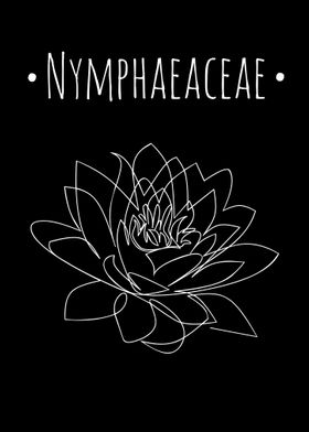 Nymphaeaceae