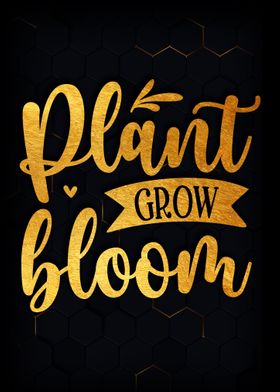 Plant grow bloom