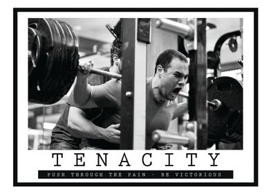 Tenacity