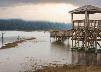 Nisqually boardwalk