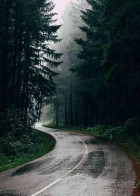 Forest Road