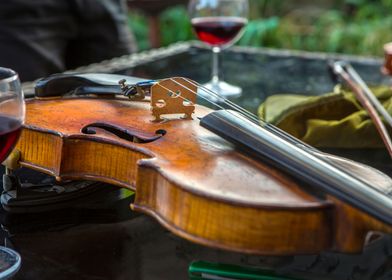 Violin with wine