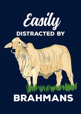 Distracted By Brahman