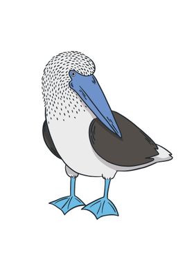 Blue Footed Booby