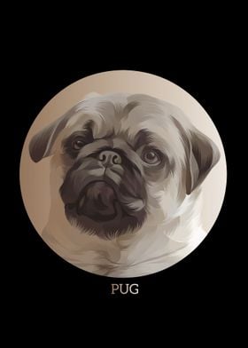 pug