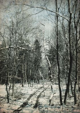 Vintage winter forest walk