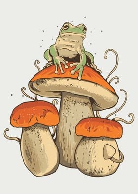 Frog on mushroom