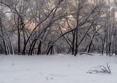 Winter snowy landscape