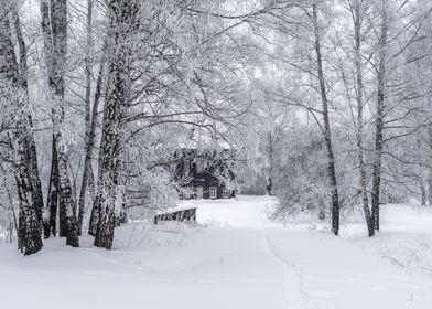 Winter snowy landscape 