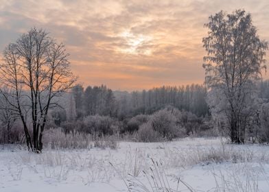 Winter snowy landscape