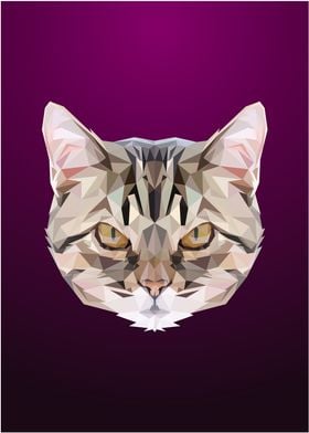 Cat Low poly Portrait